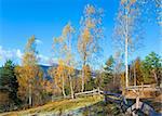 Autumn hoarfrost on mountain village outskirts glade