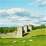 Kells Priory, County Kilkenny, Ireland