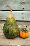 The three bright pumpkins on a wooden bench