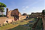 Ruins of Stadium Domitanusruins at the Palatine Hill in Rome, Italy