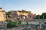 View at the Palatine hill ruins in Rome, Italy