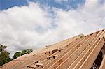 Roof rafters of a house under construction