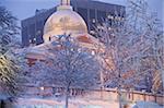 Snow covered trees in front of  Massachusetts State Capitol, Boston Common, Beacon Hill, Boston, Massachusetts, USA