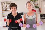 Portrait of two women exercising with dumbbells in a health club