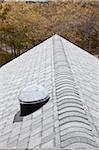 Solar tubular skylight and light reflective roof of a Green Technology Home