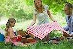 Family having picnic outdoors