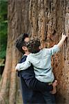 Father and young son touching tree trunk