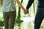 Couple holding hands in nature, mid section