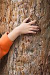 Child's hand touching tree trunk