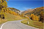 Route, La Punt-Chamues-ch, col de l'Albula, Canton des Grisons, Suisse