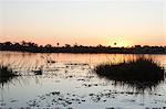 Sunset on the water in the Okavango Delta, Botswana, Africa