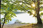 Lake Edersee, Nationalpark Kellerwald-Edersee, Hessen, Deutschland