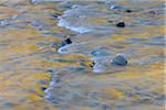 L'eau et les roches, col de Fluela, Susch, Canton des Grisons, Suisse