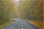 Country Road, montagnes Rhon, Hesse, Allemagne