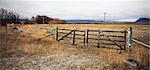 Wooden Gate, New Zealand