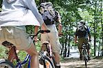 Mountain bikers riding through woods, rear view