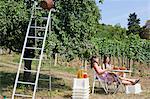 Women picnicking in orchard