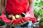 Woman carrying fruit in apron outdoors