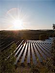 Aerial view of field of solar panels