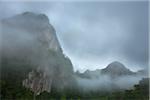 Paysage montagneux dans le brouillard, Khao Sok Resort, Surat Thani, Thaïlande