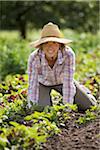 Portrait of Farmer Working on Organic Farm