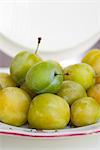 Fresh greengage plums