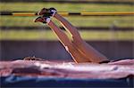 Body Part of Young Female Athlete Performing High Jump