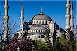 Gros plan de la mosquée bleue, Istanbul, Turquie