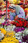 Woman at Flower Stand, Uskudar, Istanbul, Turkey