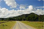 Country Road, Daintree, Queensland, Australia