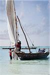 Pêcheurs sur le boutre se préparant à s'embarqua, île de Zanzibar, Tanzanie