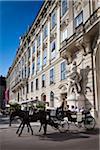 Horse-Drawn Carriage in front of Hofburg Palace, Vienna, Austria