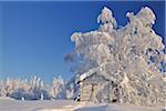 Log Cabin in Winter, Kuusamo, Northern Ostrobothnia, Finland