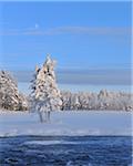 Kitkajoki River and Snow Covered Trees, Kuusamo, Northern Ostrobothnia, Finland