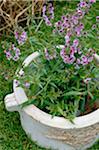 Flower tub with flowers in garden