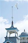 Flying seagull at a steeple