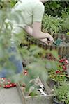 Woman working in garden