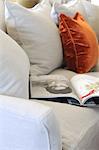 Coffee table book and cushions on couch