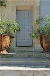 Front door with flower tubs