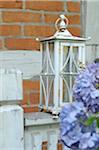 Hydrangea and lantern in front of timber-framed house