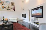 Modern living room with widescreen TV