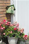 Birdhouse and roses at house entrance