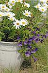 Flower tub with flowers in garden