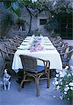 Jeté de table de jardin avec l'arrangement de la fleur