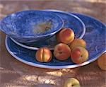 Bowl and plate with apricots