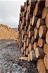 Piles de journaux, Écosse