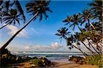 Beach Scene, Ahangama, Sri Lanka