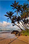 Strand, Ahangama, Sri Lanka