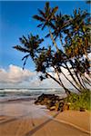 Plage, Ahangama, Sri Lanka