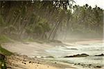 Weligama, Distrikt Matara, Sri Lanka